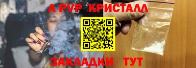 a pvp Кингисепп