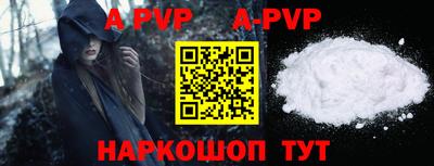 a pvp Кингисепп