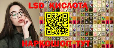 a pvp Кингисепп
