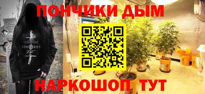 крисы Кимры
