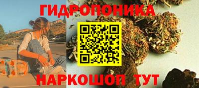 крисы Кимры
